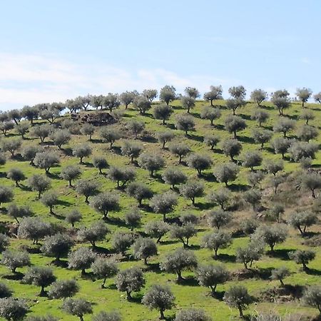 Agroturismo Casal De Castro Avantos Extérieur photo