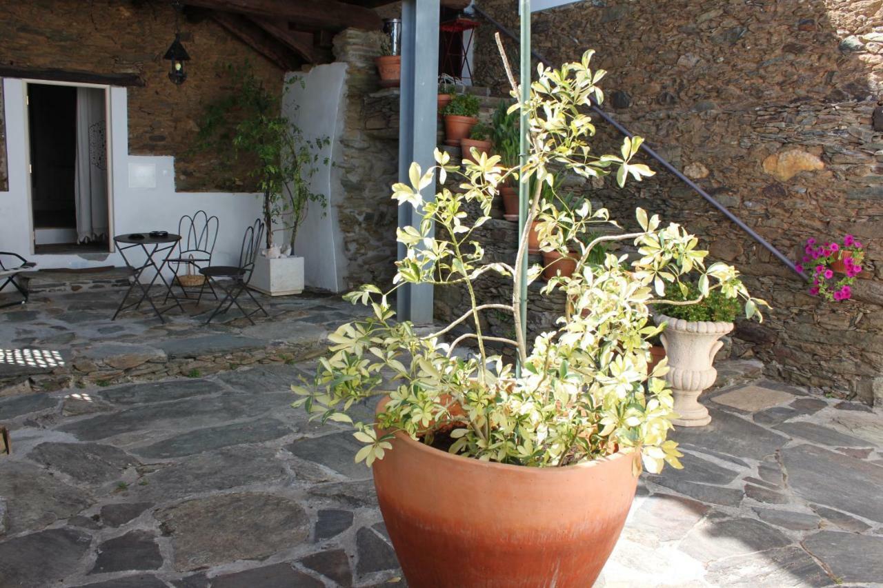 Agroturismo Casal De Castro Avantos Extérieur photo